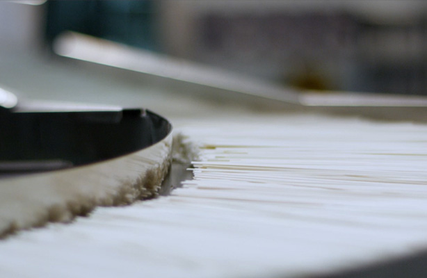 面条为什么会生虫？